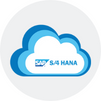 SAP S4 HANA Sourcing n Procurement