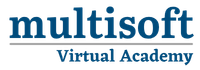 multisoft virtual academy